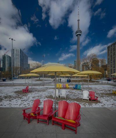 A group of chairs and umbrellas in a park

Description automatically generated
